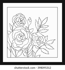 Beautiful roses isolated on white background. Hand drawn vector illustration with flowers. Retro floral card. Romantic delicate bouquet. Element for design. Contour lines and strokes. Coloring page.