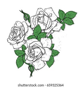 Beautiful roses with leaves and buds. Vector illustration for a postcard or a poster, print for clothes. Vintage flowers.