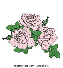 Beautiful roses with leaves and buds. Vector illustration for a postcard or a poster, print for clothes. Vintage flowers.