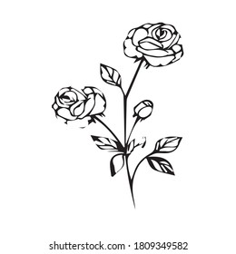 Schöne Rosen, Vektorgrafik