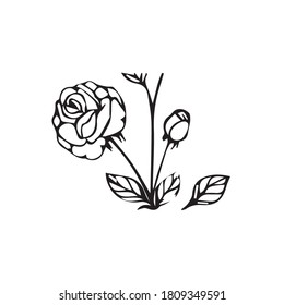 Schöne Rosen, Vektorgrafik