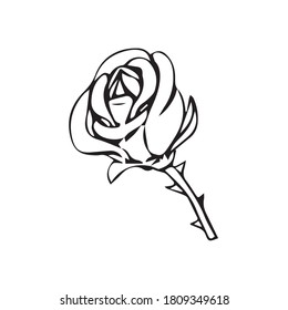 Beautiful roses vector line art