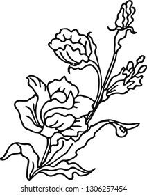 Beautiful rose.Vector illustration.