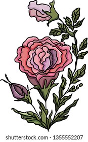 Beautiful rose.Vector illustration.
