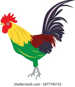 Beautiful Rosster  Vector Illustration with different color on white background