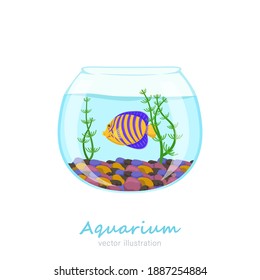 Beautiful round fish tank image. Exotic pet in your house. Editable vector illustration isolated on a white background. Colorful cartoon flat style. Graphic design 