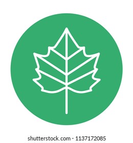Beautiful Round Leave Icon. Vector