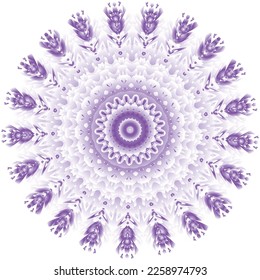 Beautiful round pattern.  Vector file for designs.