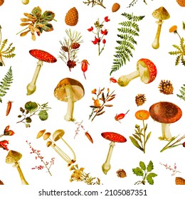 Beautiful rpeated Seamless autumn forest theme pattern with another floral and mushrooms image assets, fall, t-shirts, texture perfect for mugs, fabrics, packaging, POD etc free Vector illustration