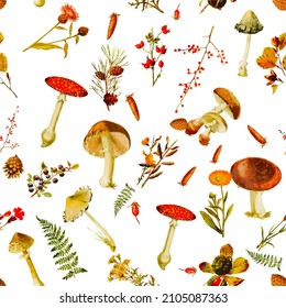 Beautiful rpeated Seamless autumn forest theme pattern with another floral and mushrooms image assets, fall, t-shirts, texture perfect for mugs, fabrics, packaging, POD etc free Vector illustration