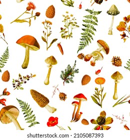 Beautiful rpeated Seamless autumn forest theme pattern with another floral and mushrooms image assets, fall, t-shirts, texture perfect for mugs, fabrics, packaging, POD etc free Vector illustration