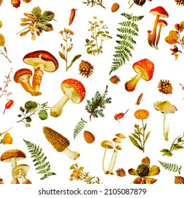 Beautiful rpeated Seamless autumn forest theme pattern with another floral and mushrooms image assets, fall, t-shirts, texture perfect for mugs, fabrics, packaging, POD etc free Vector illustration
