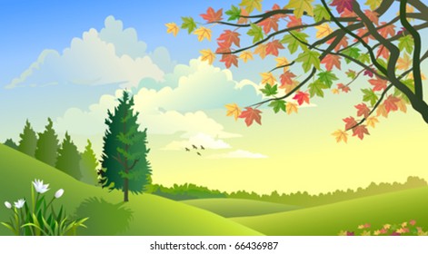  A beautiful rural summer landscape