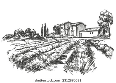 bello paisaje rural de verano de un campo de lavanda con una casa rústica, un viaje a Europa, ilustración de vector a mano esbozo realista