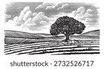 Beautiful rustic landscape with big old oak tree in the meadow. hills and fields for eco products, cheese, milk and other natural products. Hand drawn engraving in old pen and ink tequtique.