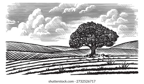 Beautiful rustic landscape with big old oak tree in the meadow. hills and fields for eco products, cheese, milk and other natural products. Hand drawn engraving in old pen and ink tequtique.