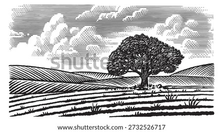 Beautiful rustic landscape with big old oak tree in the meadow. hills and fields for eco products, cheese, milk and other natural products. Hand drawn engraving in old pen and ink tequtique.