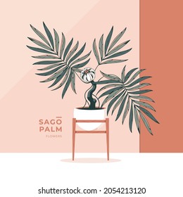 Beautiful Sago Palm Plant Illustration Background