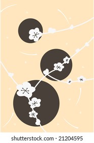 beautiful sakura