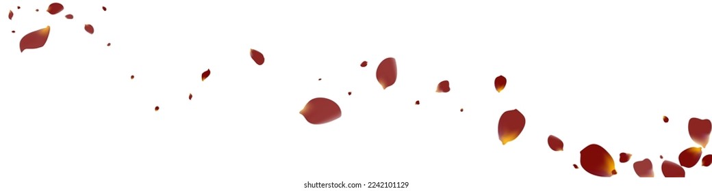 Beautiful Sakura Falling Vector White Panoramic Background. Spring Petal Design. Delicate Floral Summer Illustration. Pink Rose Fly Texture.