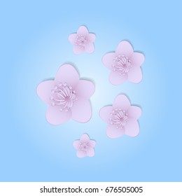 beautiful sakura flower