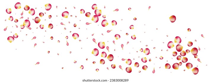 Beautiful Sakura Flying Vector Panoramic White Background. Japanese Cherry Illustration. Red Petal Falling Template. Pink Floral Beauty Frame.