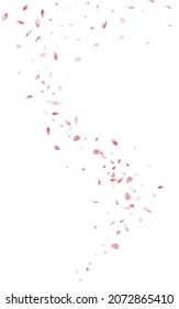 Hermoso Vector Volador Sakura Fondo Blanco. Patrón Petal japonés. Delicado diseño de Rose Japan. Ilustración De Primavera De Flores Rosa.