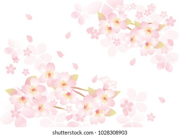 菜の花 桜 のイラスト素材 画像 ベクター画像 Shutterstock