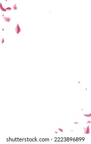 Beautiful Sakura Japan Vector White Background. Falling Rose Design. Red Lotus Flying Cover. Delicate Flower Summer Wallpaper.