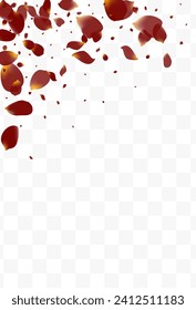 Beautiful Sakura Japanese Vector Transparent Background. Blur Flower Frame. Pink Blossom Tender Banner. Delicate Rose Flying Texture.
