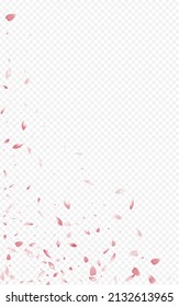 Beautiful Sakura Tender Vector Transparent Background. Blur Flower Texture. Delicate Floral Summer Poster. Red Cherry Fall Template.