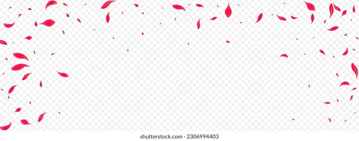 Beautiful Sakura Vector Transparent Panoramic Background. Fly Lotus Illustration. Red Rose Flying Wallpaper. Delicate Spring Cherry Template.