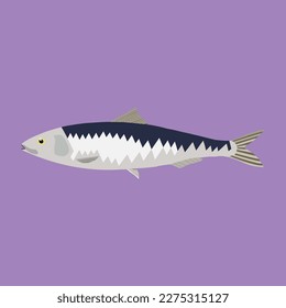 A beautiful sardine fish vector art work.