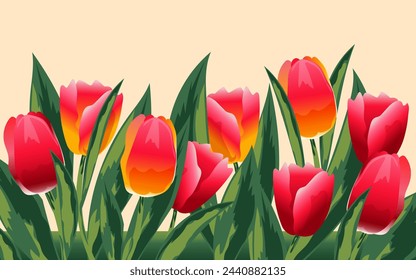 Beautiful scarlet and red tulips with copy space for spring cards. Vector.