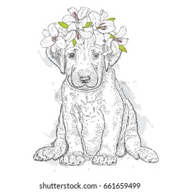 A beautiful scarlet in a wreath of lilies. Lovely puppy in a flower wreath. Pedigree dog. Vector illustration for a postcard or a poster, print for clothes.