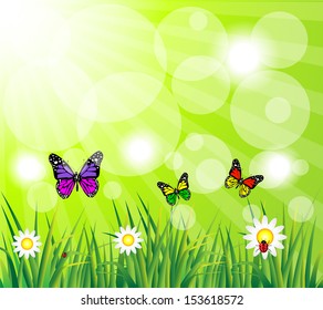 A beautiful scene of nature 