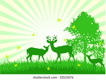 A beautiful scene of wildlife in nature