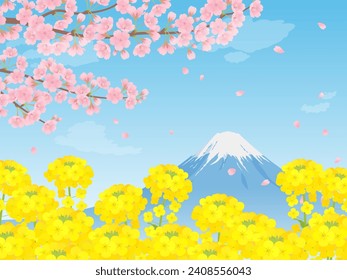 Beautiful scenery of rape blossom fields, cherry blossoms and Mt. Fuji