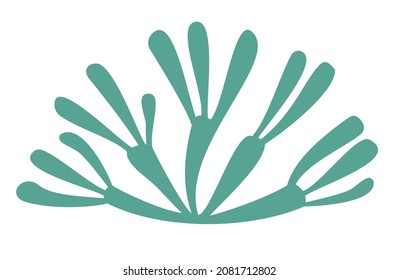 A beautiful sea branch of green-blue water algae on a white background. Algae logo, algae icon