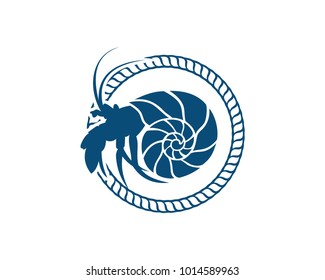 Beautiful Sea Conch with Classic Circle like Rope Illustration Symbol Logo Vector