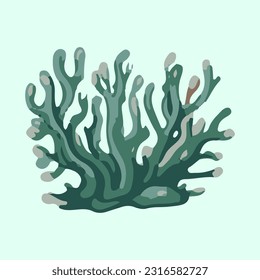 beautiful sea coral detail illustration