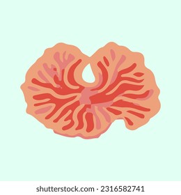 beautiful sea coral detail illustration