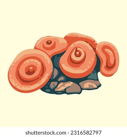 beautiful sea coral detail illustration