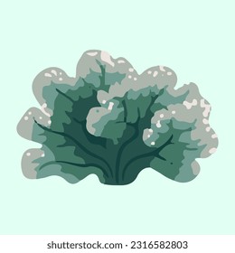 beautiful sea coral detail illustration