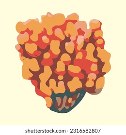 beautiful sea coral detail illustration