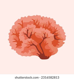 beautiful sea coral detail illustration