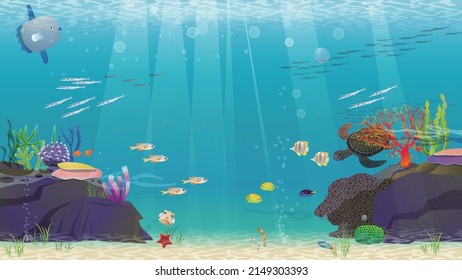 In the beautiful sea, the creatures of the sea