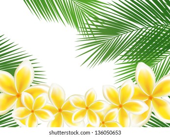 The beautiful sea and flower, and the coconut of a white background