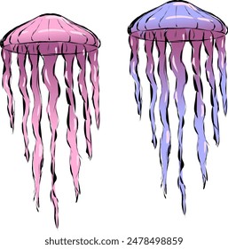Beautiful sea jellyfish are pink and pink blue in a gradient. Black sloppy sketch-style outlining around the edges. Vector illustration 