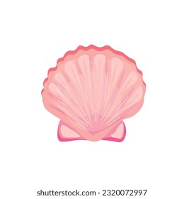 Beautiful sea shell on white background